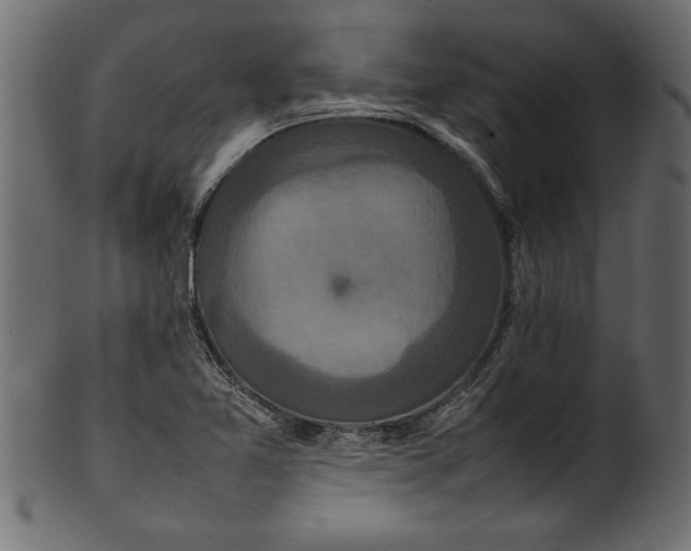 X0000101221365200807181542