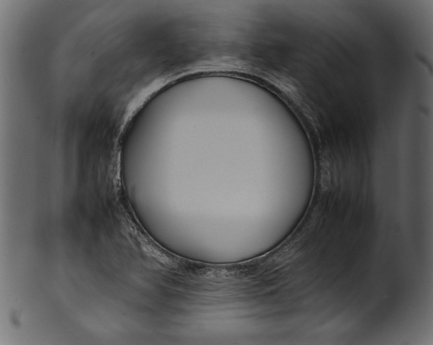 X0000101221366200807181542