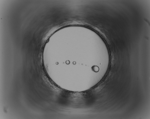 X0000101221367200807181542
