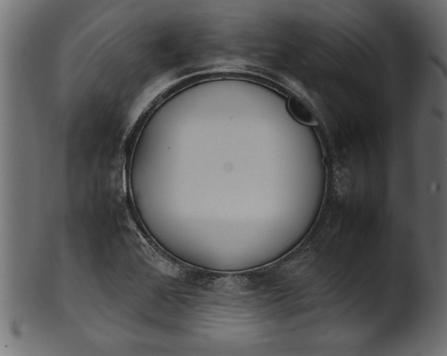 X0000101221368200807181542