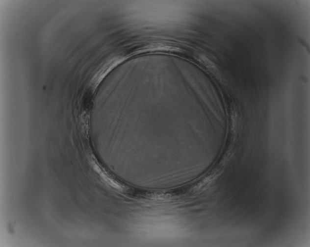 X0000101221369200807181542
