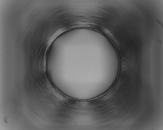 X0000101221370200807181542