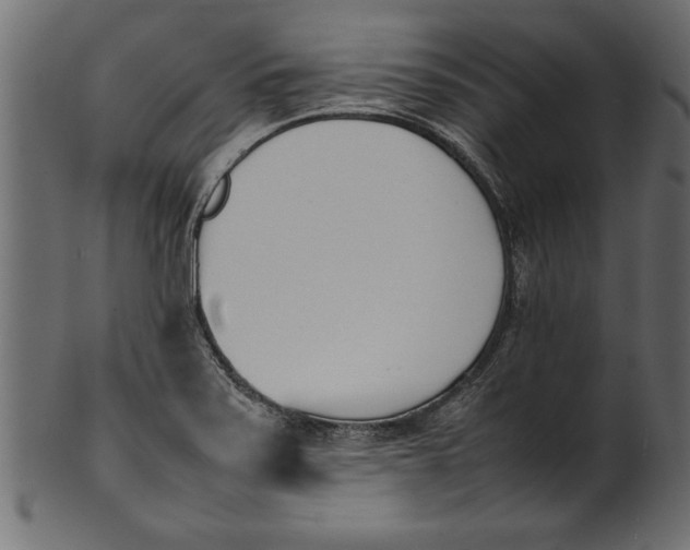 X0000101221371200807181542