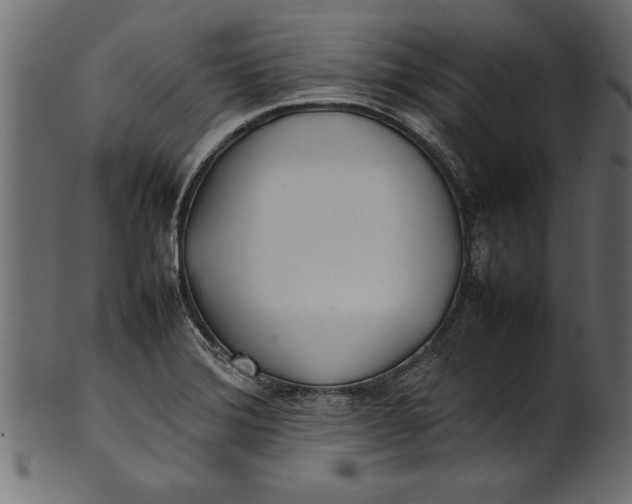X0000101221372200807181542