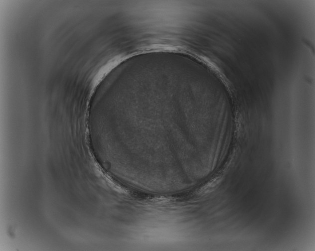 X0000101221373200807181542