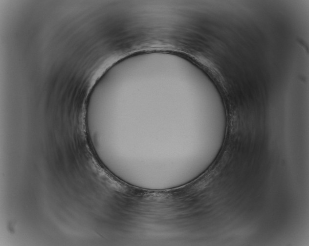 X0000101221374200807181542