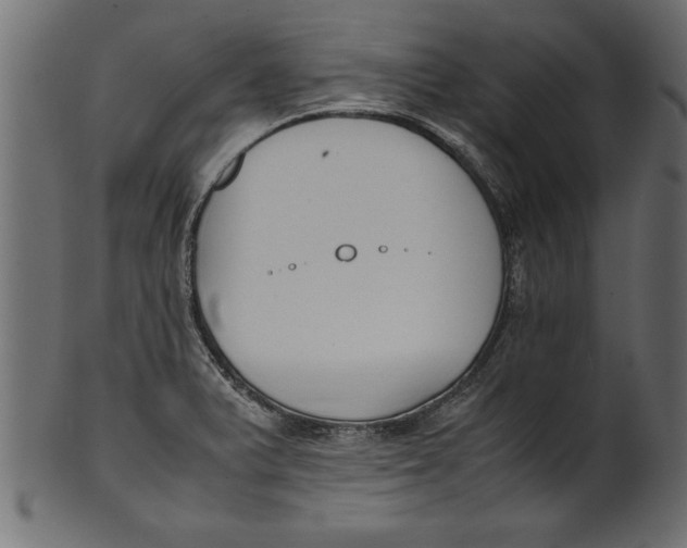 X0000101221375200807181542