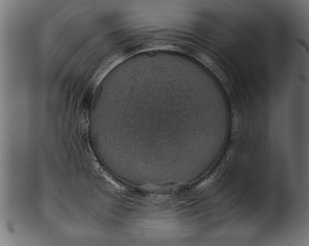 X0000101221377200807181542