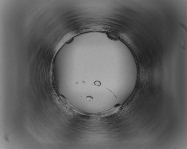 X0000101221378200807181542