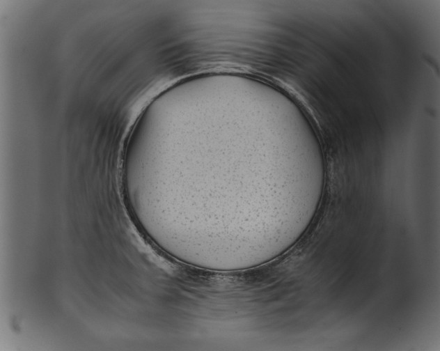 X0000101221379200807181542