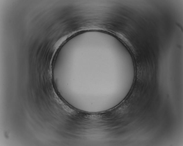 X0000101221380200807181542