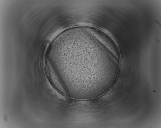 X0000101221381200807181542