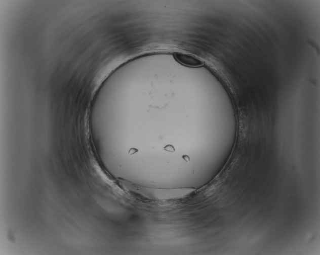 X0000101221382200807181542