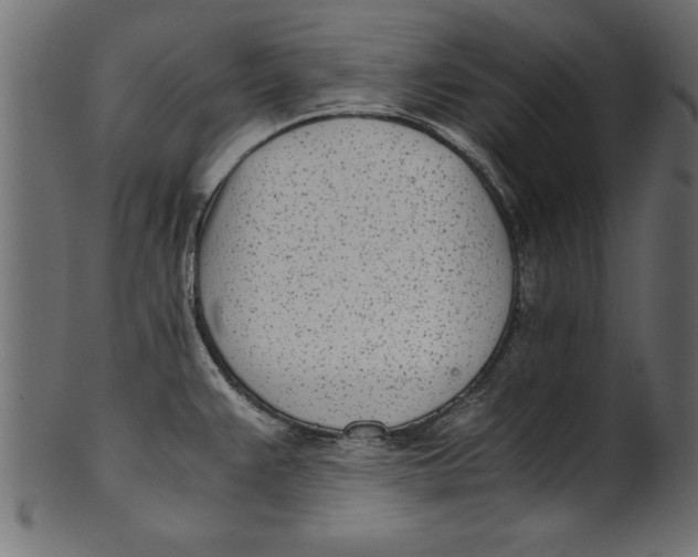 X0000101221383200807181542