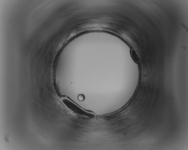 X0000101221384200807181542