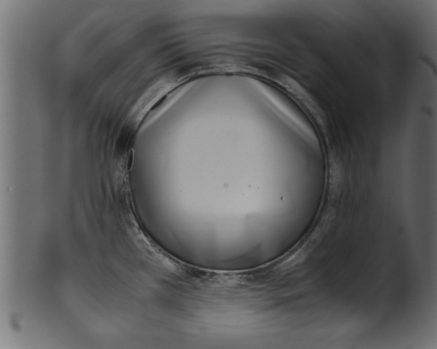 X0000101221385200807181542