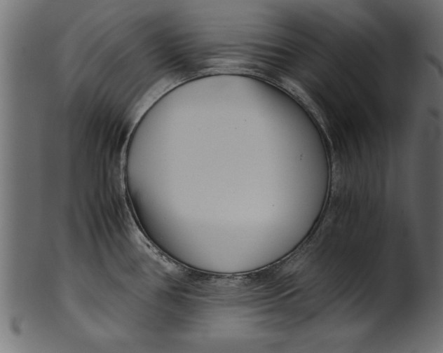 X0000101221386200807181542