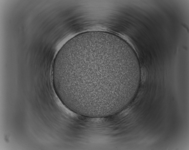 X0000101221387200807181542