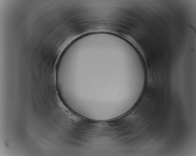 X0000101221388200807181541