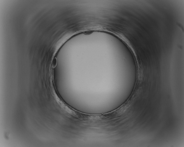 X0000101221389200807181541