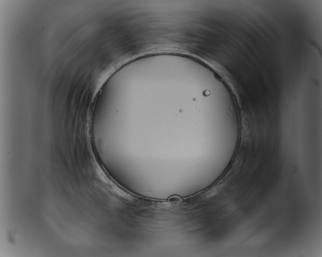 X0000101221390200807181541