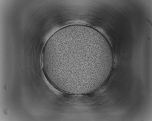 X0000101221391200807181541