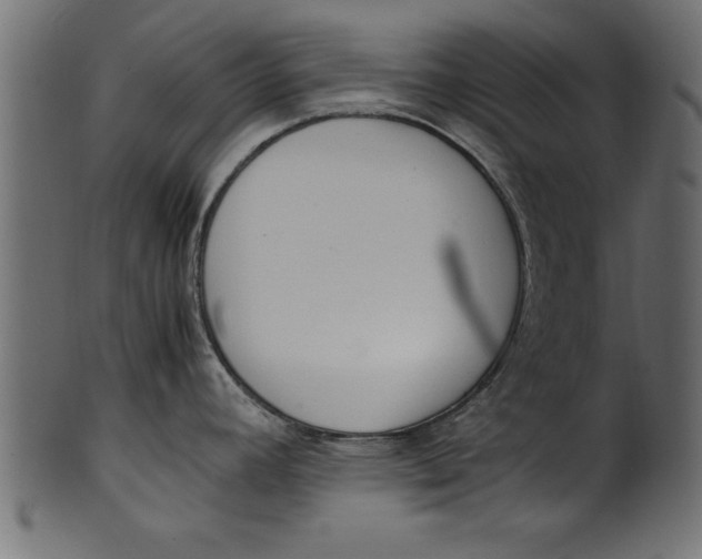 X0000101221392200807181541
