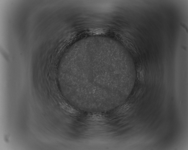 X0000101221393200807181541