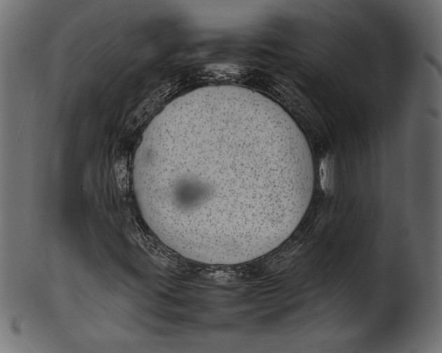X0000101221395200807181541