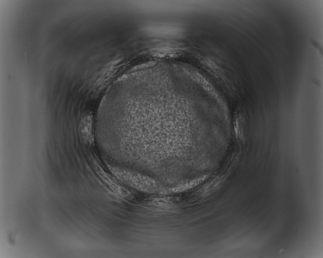 X0000101221396200807181541