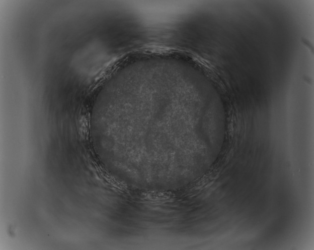 X0000101221397200807181541