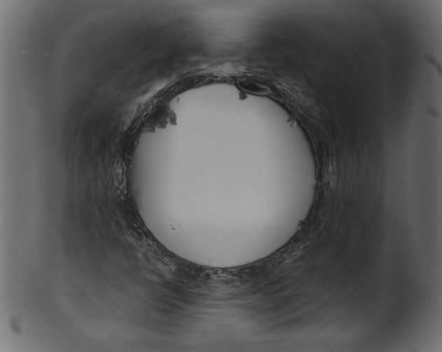 X0000101221398200807181541