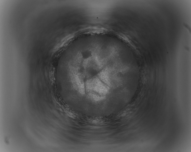 X0000101221399200807181541