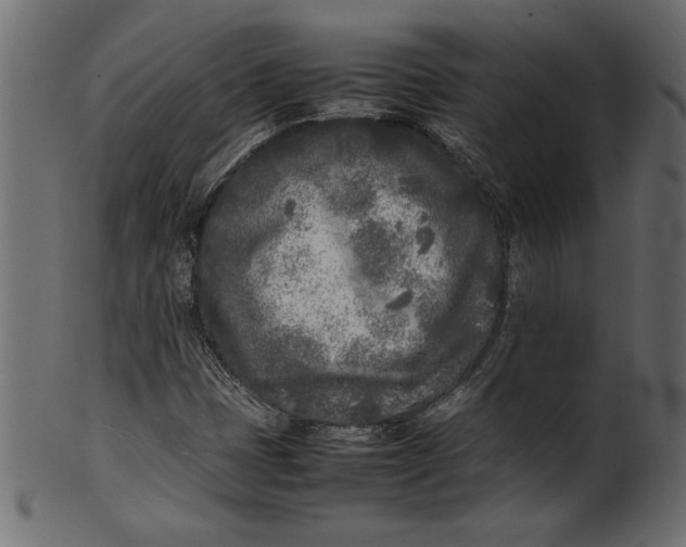 X0000101221401200807181541