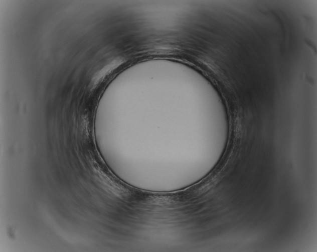 X0000101221402200807181541