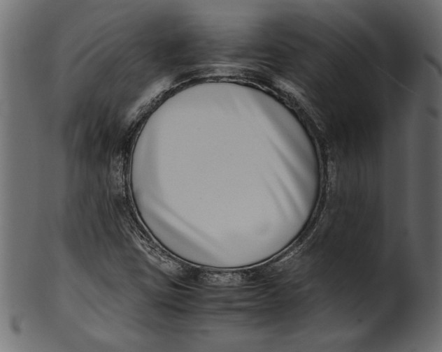 X0000101221403200807181541