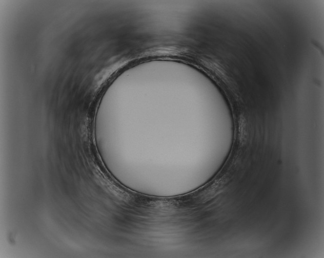 X0000101221404200807181541
