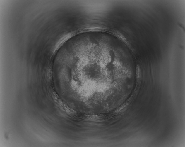 X0000101221405200807181541