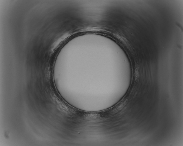 X0000101221406200807181541