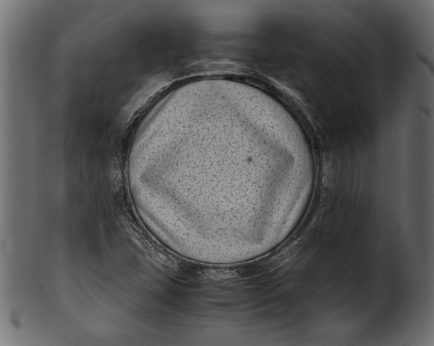 X0000101221407200807181541