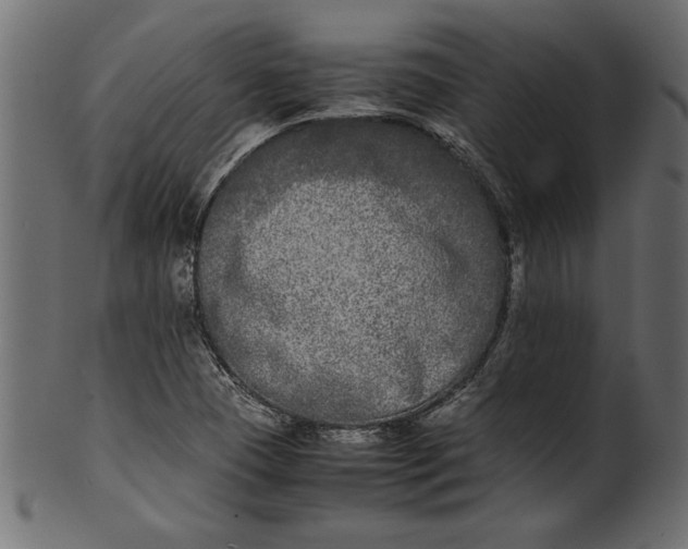 X0000101221409200807181541