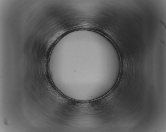 X0000101221410200807181541