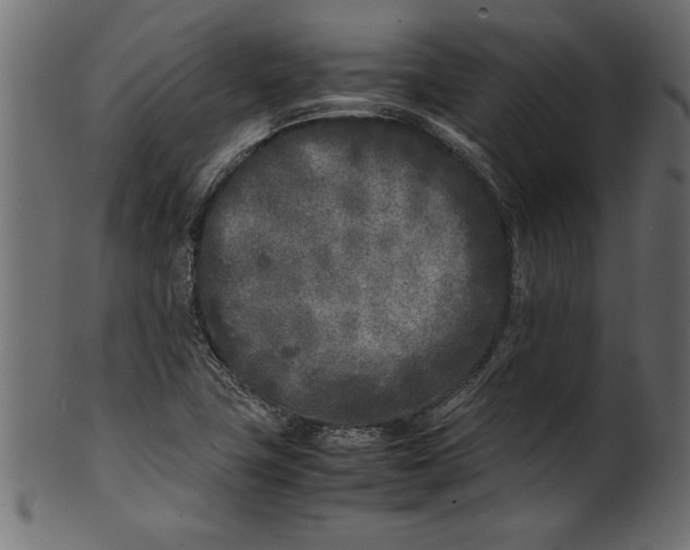 X0000101221411200807181541