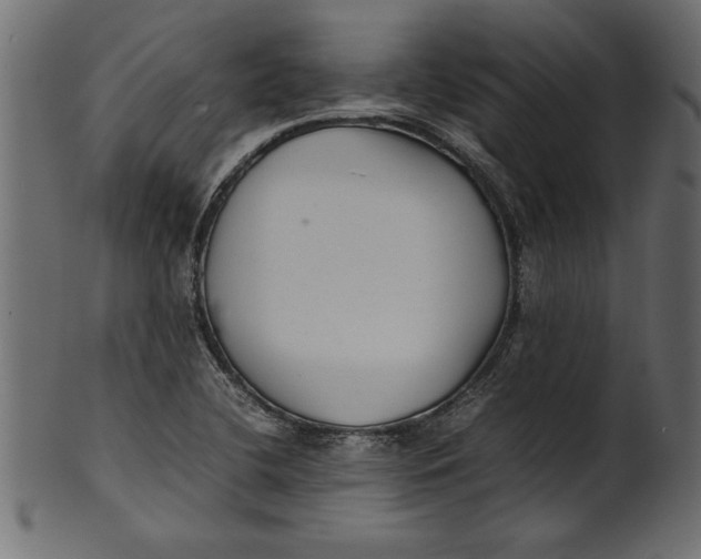 X0000101221412200807181541