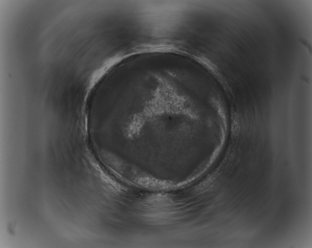 X0000101221414200807181541