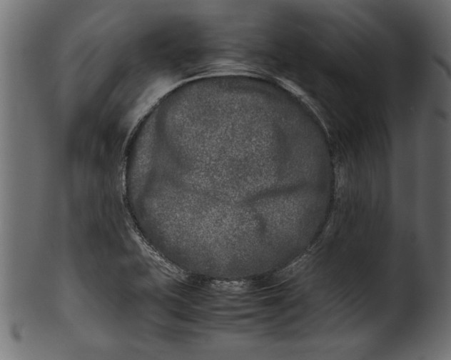 X0000101221415200807181541