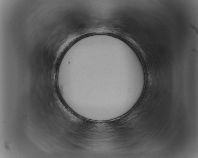 X0000101221416200807181541