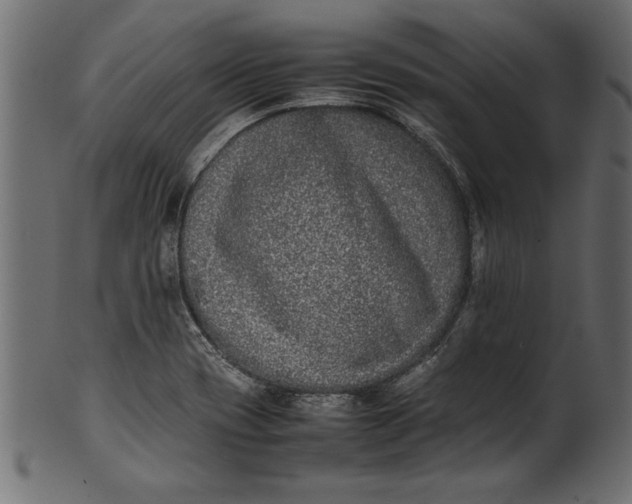 X0000101221417200807181541