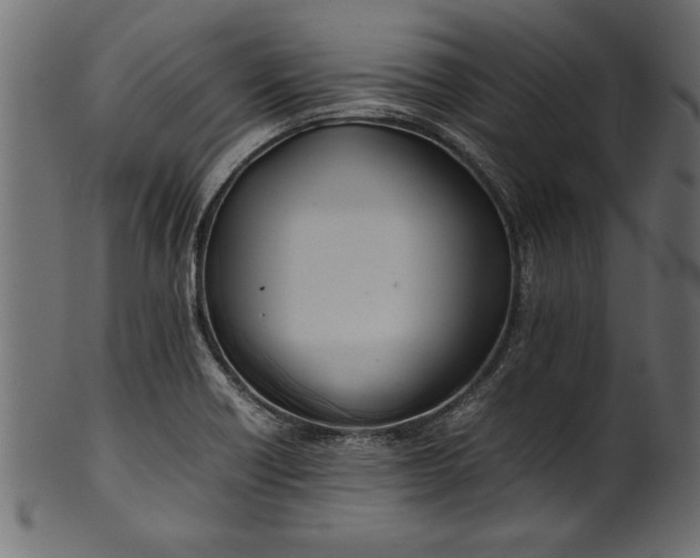 X0000101221418200807181541