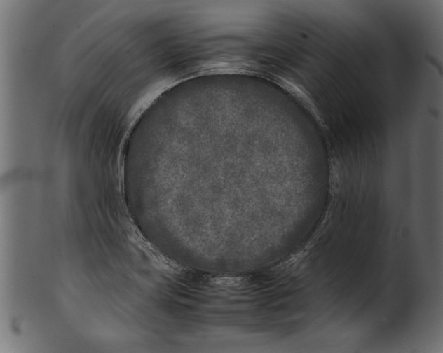 X0000101221419200807181541